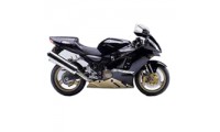 Acquista Carene Kawasaki ZX12R 2000-2001