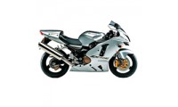 Acquista Carene Kawasaki ZX12R 2002-2006