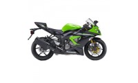 Acquista Carene Kawasaki ZX6R 2013-2018
