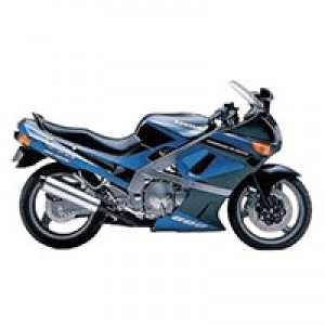 Acquista Carene Kawasaki ZZR600 1998-2003