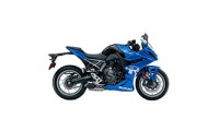 Acquista Carene Suzuki GSX8R