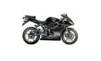 Acquista Carene Triumph Daytona 675 Triple 2006-2008