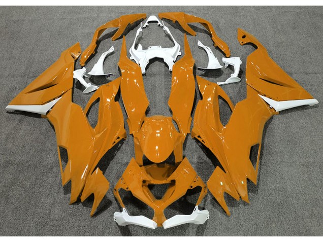 Arancione Lucido & Bianco 19-23 ZX6R Carene Moto