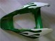 Acquista Carena Moto Honda CBR1000RR 2006-2007 - Bianco Verde Fiamma
