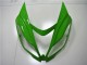 Acquista Carena Moto Kawasaki ZX6R 2013-2018 - Verde Bianco Nero Lucido