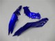 Acquista Carena Moto Kawasaki Ninja 300 EX300R 2013-2024 - Blu Nero Bianco Fiamma