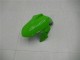 Acquista Carena Moto Kawasaki Ninja 300 EX300R 2013-2024 - Bianco Verde Nero
