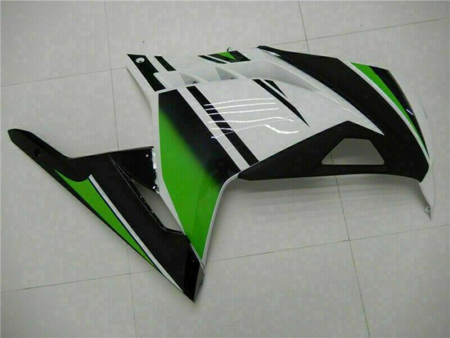 Acquista Carena Moto Kawasaki Ninja 300 EX300R 2013-2024 - Bianco Verde Nero