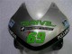 Acquista Carena Moto Honda CBR600RR 2003-2004 - Argento Verde Nero Lucido
