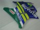 Acquista Carena Moto Honda CBR600 F3 1995-1996 - Blu Verde Giallo MoviStar Rosso Castrol