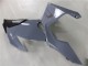 Acquista Carena Moto Kawasaki Ninja 400 2018-2024 - Nardo Grigio