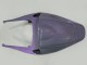 Acquista Carena Moto Honda CBR600RR 2007-2008 - Camaleonte Grigio Dazz Viola Perla