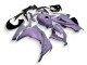 Acquista Carena Moto Kawasaki EX300 2013-2024 - Camaleonte Grigio Dazz Viola Perla