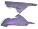 Acquista Carena Moto Kawasaki EX300 2013-2024 - Camaleonte Grigio Dazz Viola Perla