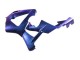Acquista Carena Moto Honda CBR900RR 929 2000-2001 - Camaleonte Blu Viola