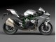 Acquista Carena Moto Kawasaki Ninja H2 2015-2022 - Argento