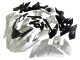 Acquista Carena Moto Kawasaki Ninja H2 2015-2022 - Argento