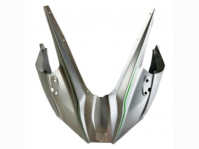Acquista Carena Moto Kawasaki Ninja H2 2015-2022 - Argento