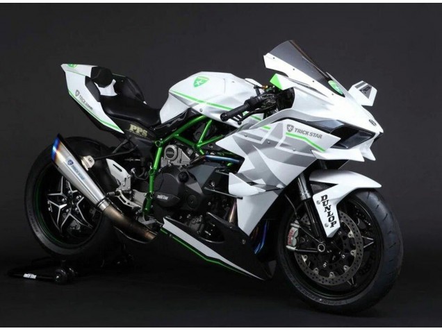 Acquista Carena Moto Kawasaki Ninja H2 2015-2022 - Bianco Argento Verde
