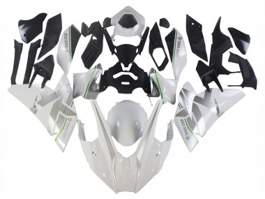 Acquista Carena Moto Kawasaki Ninja H2 2015-2022 - Bianco Argento Verde