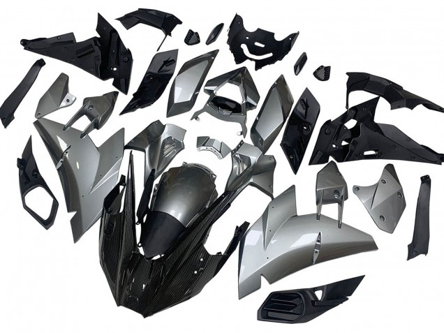 Acquista Carena Moto Kawasaki Ninja H2 2015-2022 - Argento Nero Fibra di Carbonio