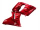 Acquista Carena Moto Kawasaki ZZR600 1998-2003 - Rosso Nero Fiamma