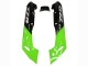 Acquista Carena Moto Kawasaki ZZR600 1998-2003 - Verde Nero Lucido Fiamma