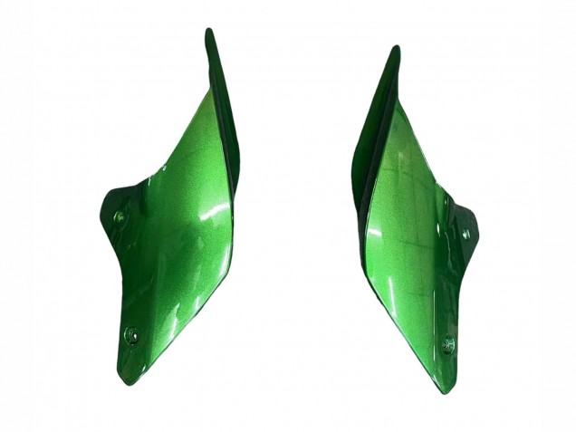 Acquista Carena Moto Ducati Panigale V2 2020-2024 - Argento Rosso Verde