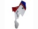 Acquista Carena ABS BMW K1200S 2005-2010 - Bianco Rosso Blu