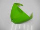 Acquista Carena Moto Kawasaki ZX6R 2005-2006 - Verde Nero Lucido Elf