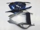 Acquista Carena Moto BMW S1000RR 2009-2014 - Argento Blu Nero Lucido