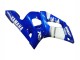 Acquista Carena Moto Yamaha YZF 600 R6 1998-2002 - Blu Bianco