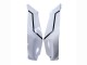 Acquista Carena Moto Kawasaki ZX10R 2021-2025 - Bianco Nero
