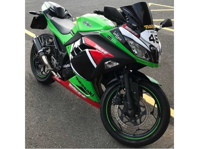 Acquista Carena Moto Kawasaki EX300 2013-2024 - Verde Bianco Rosso Nero Elf