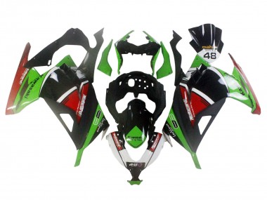 Acquista Carena Moto Kawasaki EX300 2013-2024 - Verde Bianco Rosso Nero Elf