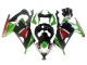Acquista Carena Moto Kawasaki EX300 2013-2024 - Verde Bianco Rosso Nero Elf
