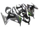 Acquista Carena Moto Kawasaki EX300 2013-2024 - Nero Lucido Nero Opaco Verde