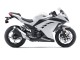 Acquista Carena Moto Kawasaki EX300 2013-2024 - Bianco Nero