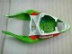 Acquista Carena Moto Kawasaki ZX6R 2009-2012 - Verde Bianco Rosso Nero Blu Motocard