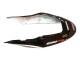 Acquista Carena Moto Honda CBR600 F4i 2004-2007 - Bianco Nero Lucido Rosso Repsol