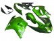 Acquista Carena Moto Honda CBR1100XX Blackbird 1996-2007 - Verde