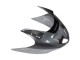 Acquista Carena Moto Honda CBR1100XX Blackbird 1996-2007 - Argento Grigio