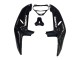 Acquista Carena Moto Honda CBR900RR 919 1998-1999 - Nero Lucido Bianco Decals