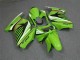 Acquista Carena Moto Kawasaki EX250 2008-2012 - Verde Bianco Nero