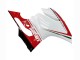 Acquista Carena Moto Ducati 1199 2011-2014 - Bianco Rosso Verde Nero Lucido