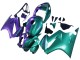 Acquista Carena Moto Honda VFR 800 2002-2013 - Viola Verde