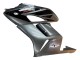 Acquista Carena Moto Honda CBR1000RR 2004-2005 - Argento Nero Lucido