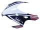 Acquista Carena Moto Honda CBR1000RR 2008-2011 - Bianco Rosso Blu Nero Stella Lee Carrera