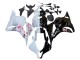 Acquista Carena Moto Honda CBR600RR 2009-2012 - Bianco Fiore di Ciliegio Nero Lucido
