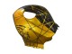 Acquista Carena Moto Honda CBR600RR 2009-2012 - Oro Nero Lucido